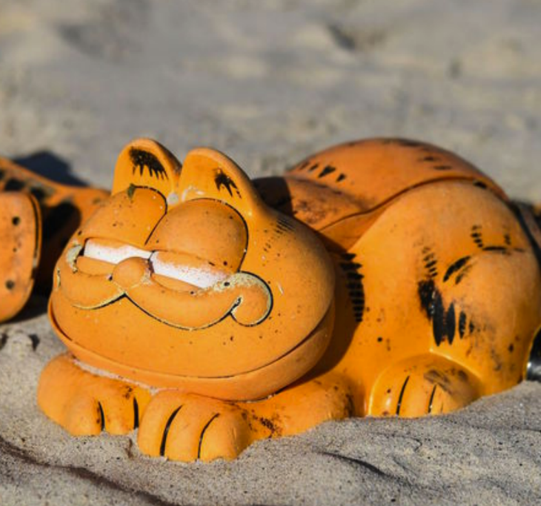 Garfield cat phone on the beach