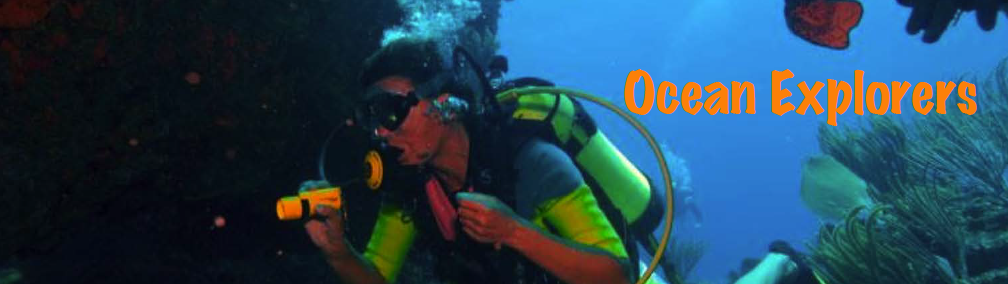 Scuba diver under the ocean