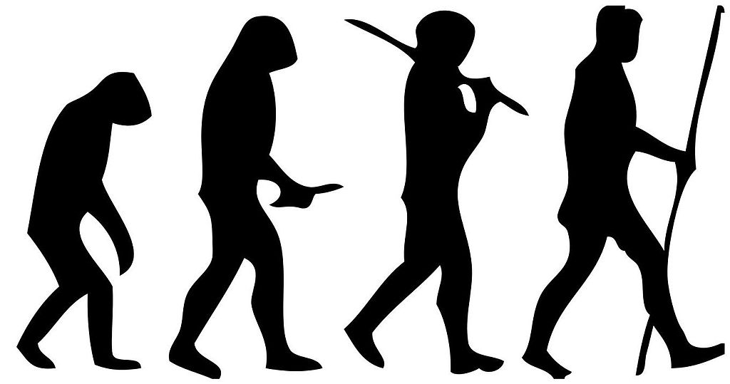 human evolution image